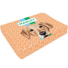 Acessórios Pet